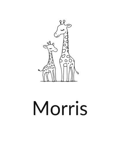 Memorybox 'Giraffe'